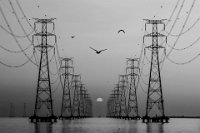 243 - TRANSMISSION LINE - RYU SHIN WOO - korea, republic of